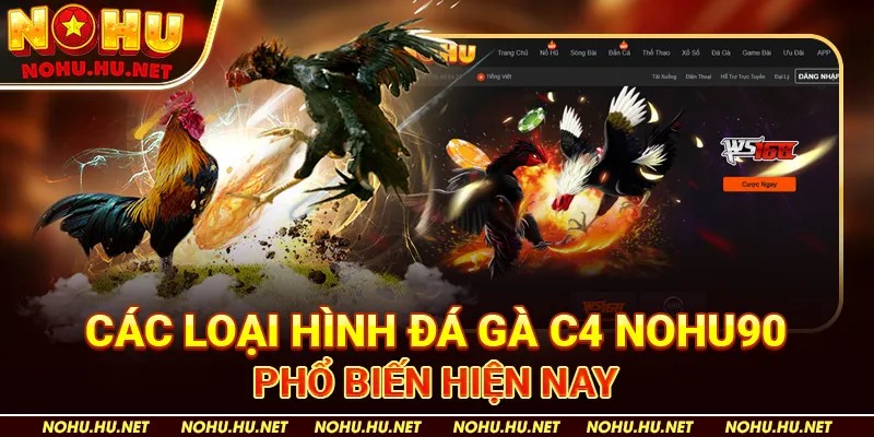Các Loại Hình Đá Gà C4 Nohu90 Phổ Biến Hiện Nay