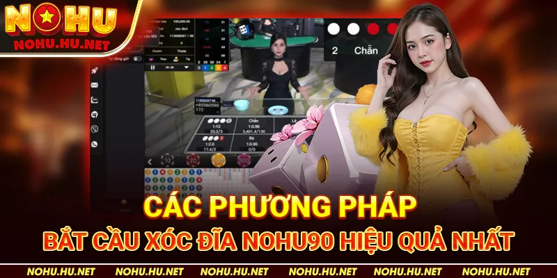 Cách Bắt Cầu Xóc Đĩa Luôn Đạt Hiệu Quả Cao Mỗi Ngày Cùng Nohu90 3 Các Phương Pháp Bắt Cầu Xóc Đĩa Nohu90 Hiệu Quả Nhất