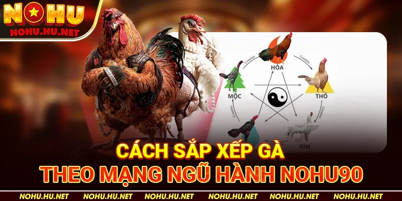 Màu Mạng Gà Đá – Bật Mí Xem Mạng Gà Hôm Nay Cực Hay Tại Nohu90 4 Cách Xem Màu Mạng Gà Đá Cựa Sắt tại nhà cái Nohu90