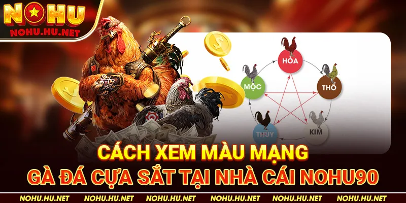 Màu Mạng Gà Đá – Bật Mí Xem Mạng Gà Hôm Nay Cực Hay Tại Nohu90 3 Cách Sắp Xếp Gà Theo Mạng Ngũ Hành Nohu90