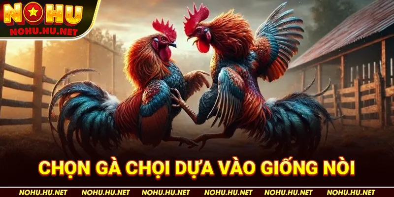 Chọn Gà Chọi Dựa Vào Giống Nòi