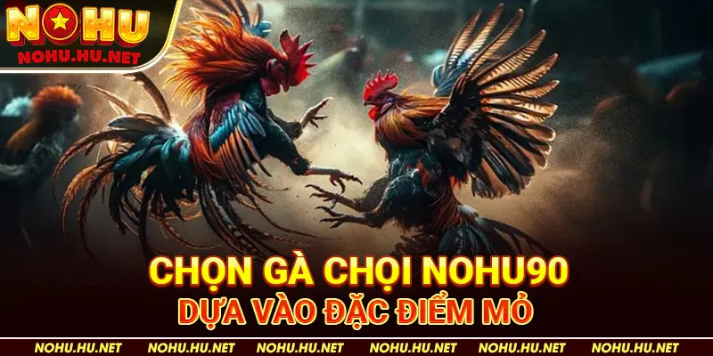 Chọn Gà Chọi Nohu90 Dựa Vào Đặc Điểm Mỏ