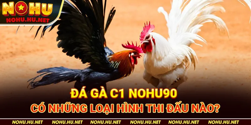 Đá Gà C1 Nohu90 Có Những Loại Hình Thi Đấu Nào?