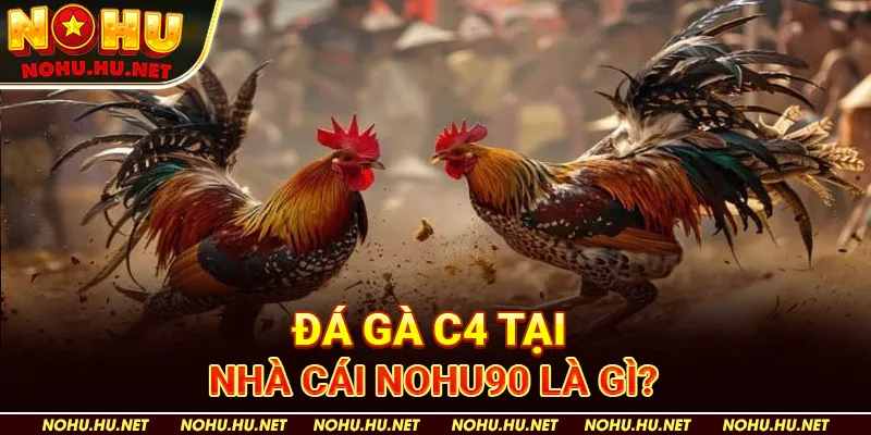Đá Gà C4 tại nhà cái Nohu90 là gì?