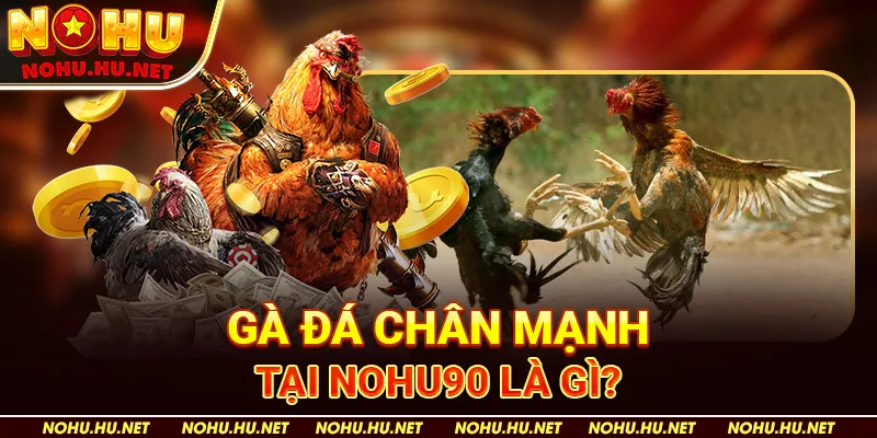 Gà đá chân mạnh tại Nohu90 là gì?