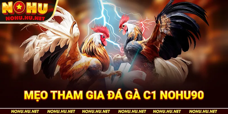 Mẹo Tham Gia Đá Gà C1 Nohu90