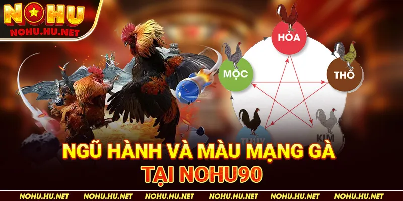 Màu Mạng Gà Đá – Bật Mí Xem Mạng Gà Hôm Nay Cực Hay Tại Nohu90 2 Ngũ Hành Và Màu Mạng Gà tại Nohu90