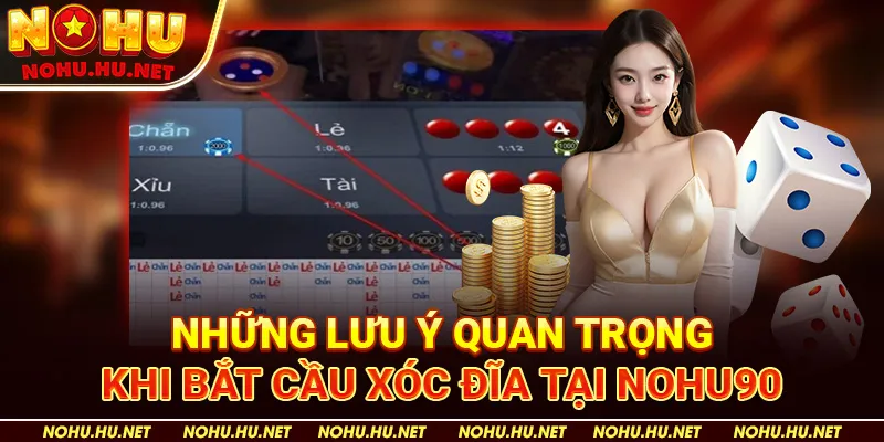 Cách Bắt Cầu Xóc Đĩa Luôn Đạt Hiệu Quả Cao Mỗi Ngày Cùng Nohu90 4 Những Lưu Ý Quan Trọng Khi Bắt Cầu Xóc Đĩa tại Nohu90