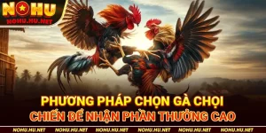 Phương-Pháp-Chọn-Gà-Chọi-Chiến-Để-Nhận-Phần-Thưởng-Cao