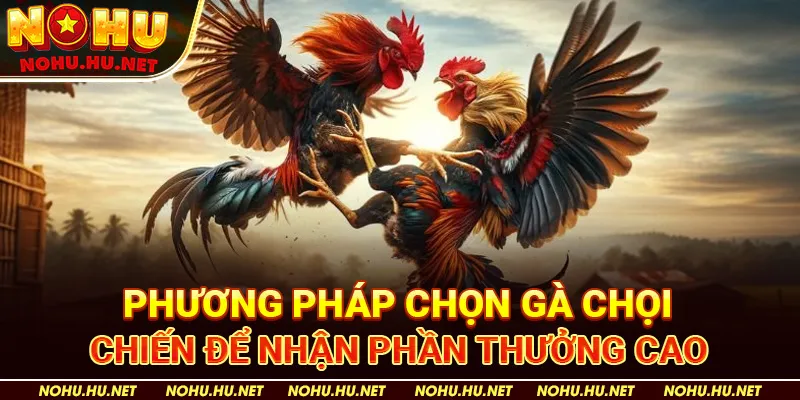 Phương-Pháp-Chọn-Gà-Chọi-Chiến-Để-Nhận-Phần-Thưởng-Cao