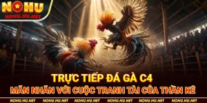 Trực-Tiếp-Đá-Gà-C4-–-Mãn-Nhãn-Với-Cuộc-Tranh-Tài-Của-Thần-Kê