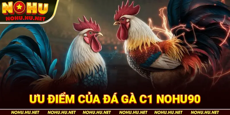 Ưu Điểm Của Đá Gà C1 Nohu90